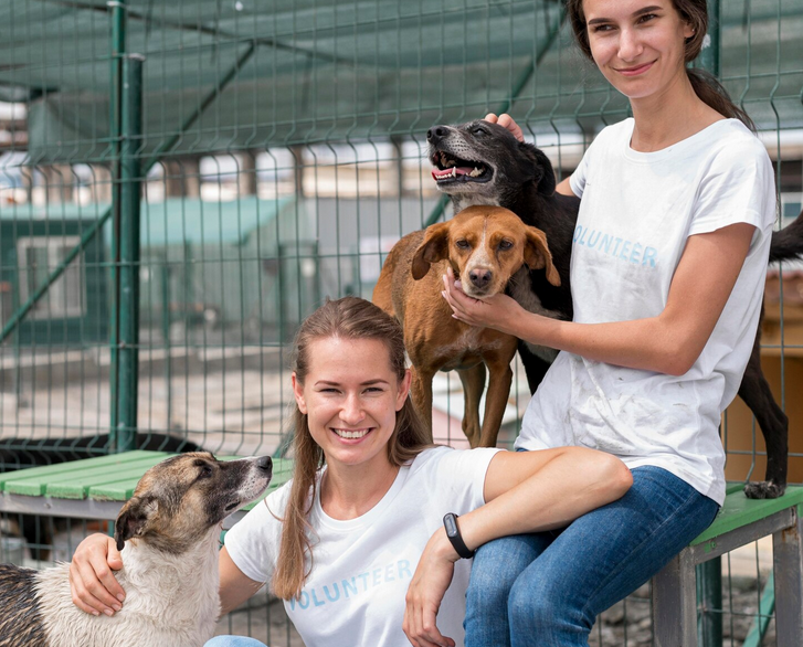 Projeto OCPet